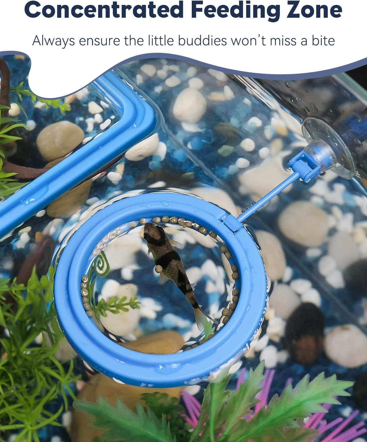  Aquarium Fish Feeding Ring Set 