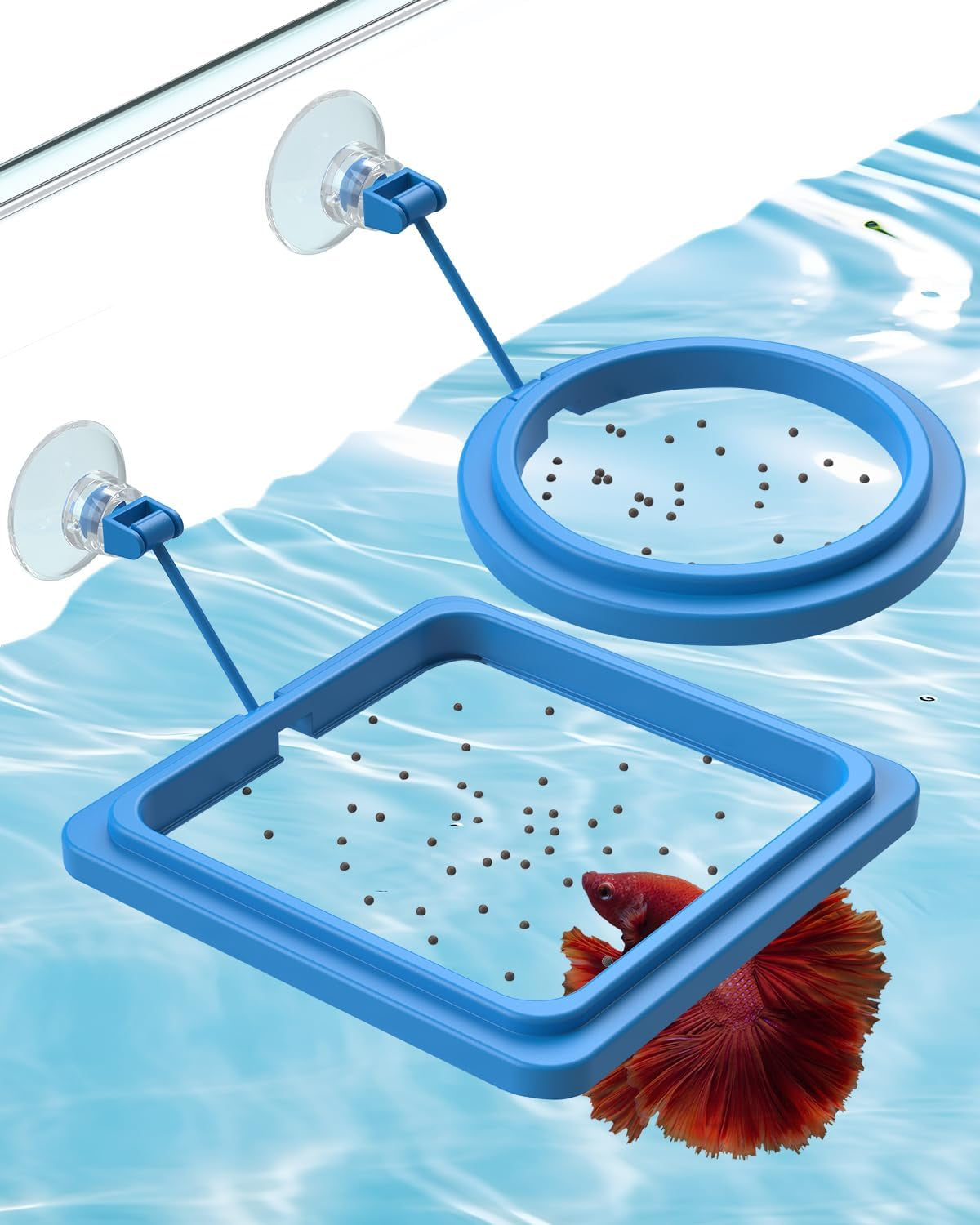  Aquarium Fish Feeding Ring Set 