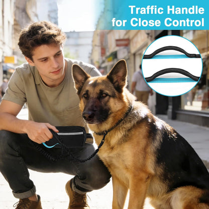 Hands-Free Dog Leash