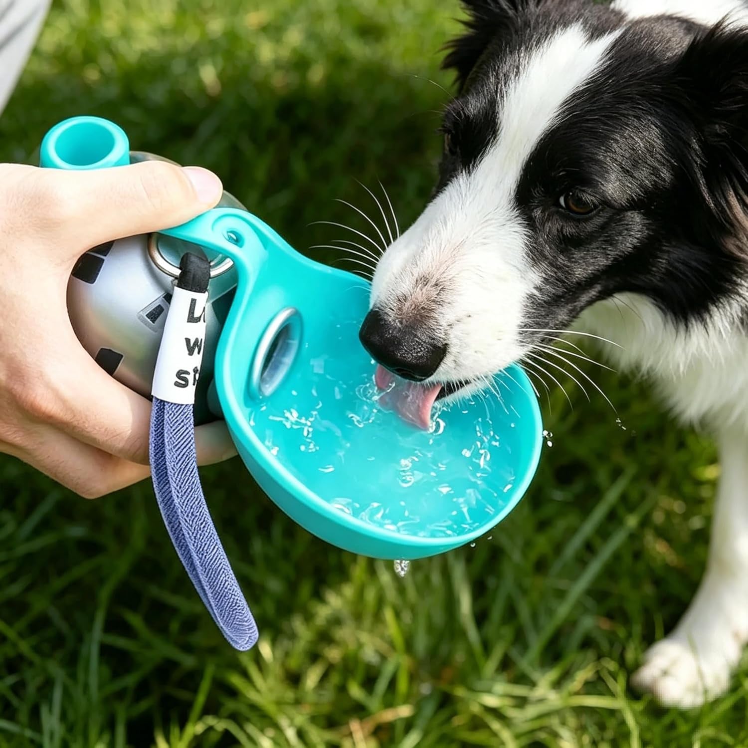 Portable Dog Water Bottle with Built-In Silicone Bowl – 10oz
