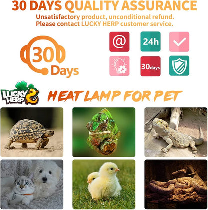 Ceramic Reptile Heat Emitter Bulb