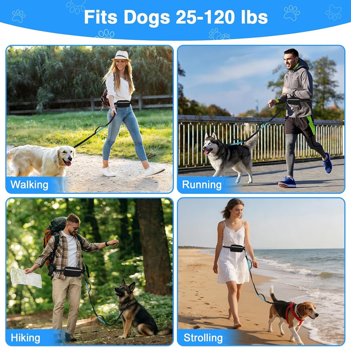 Hands-Free Dog Leash